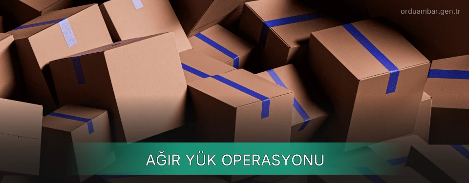 Ordu Ağır Yük Ambar Firmaları Ordu Ağır Yük Ambar Firmaları