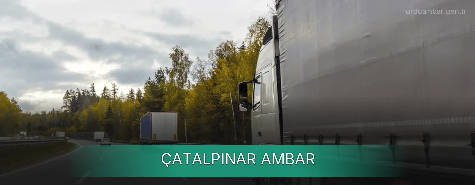 Çatalpınar Ambar Kargo Çatalpınar Ambar Kargo