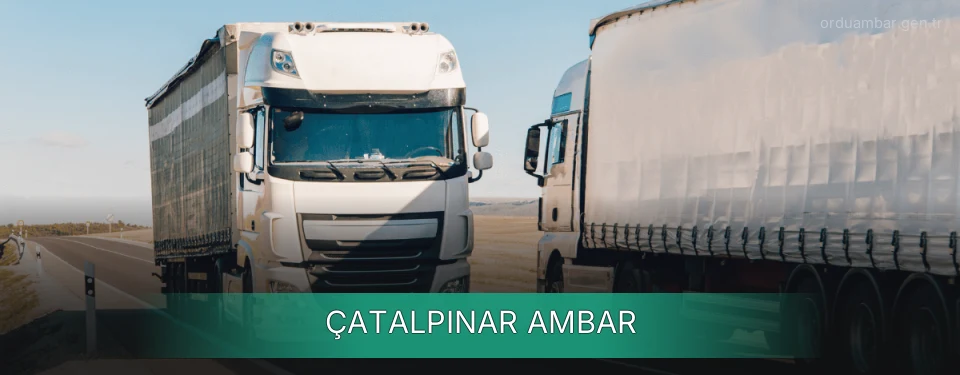 Çatalpınar Ambar