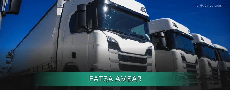 Fatsa Ambar Kargo Fatsa Ambar Kargo
