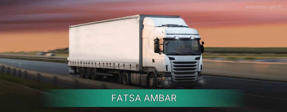 Fatsa Ambar