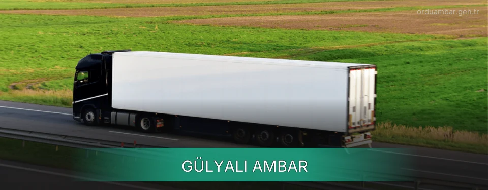 Gülyalı Ambar Kargo Gülyalı Ambar Kargo