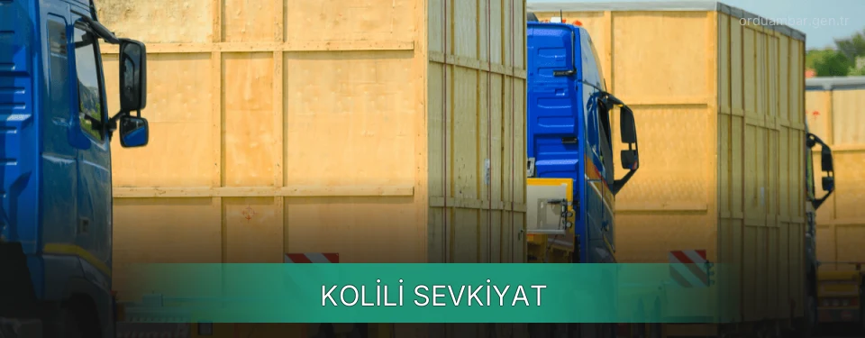 Ordu Kolili Sevkiyat Ambar Firmaları Ordu Kolili Sevkiyat Ambar Firmaları